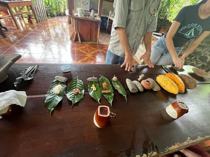 Coffee Plantation & Indigenous Culture - Image 4