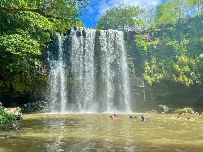 Rio Celeste & Butterfly Garden - Image 4