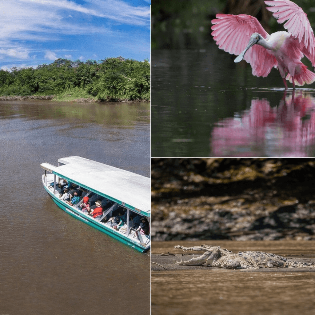 Palo Verde Boat Safari & Indigenous Village