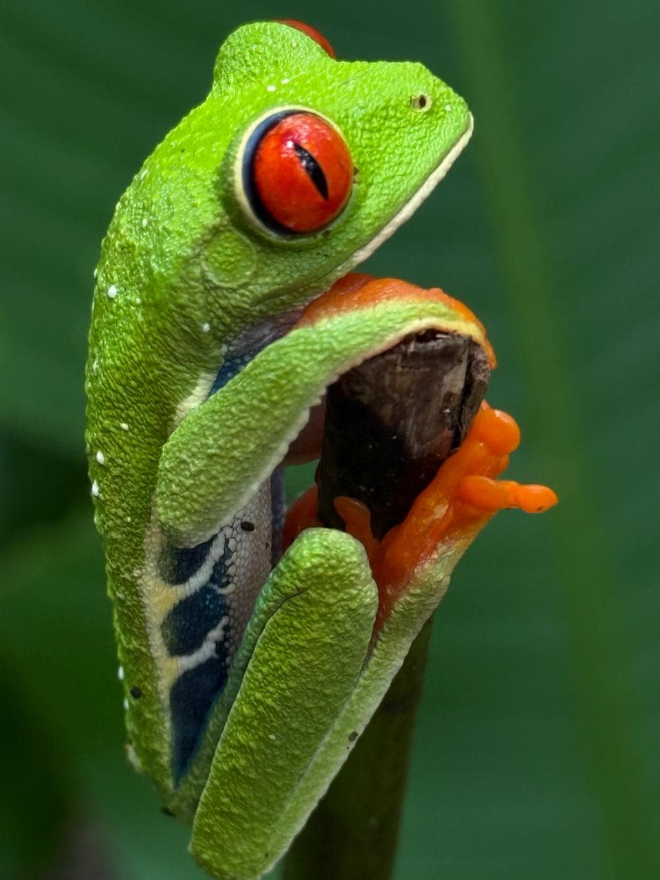 Contact GoAdventuresCR