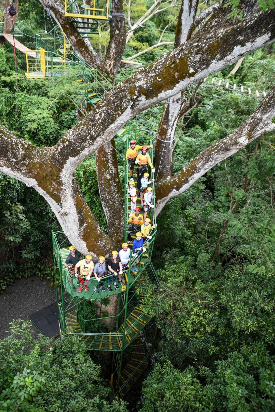 Customizable Zipline Adventure - Image 3